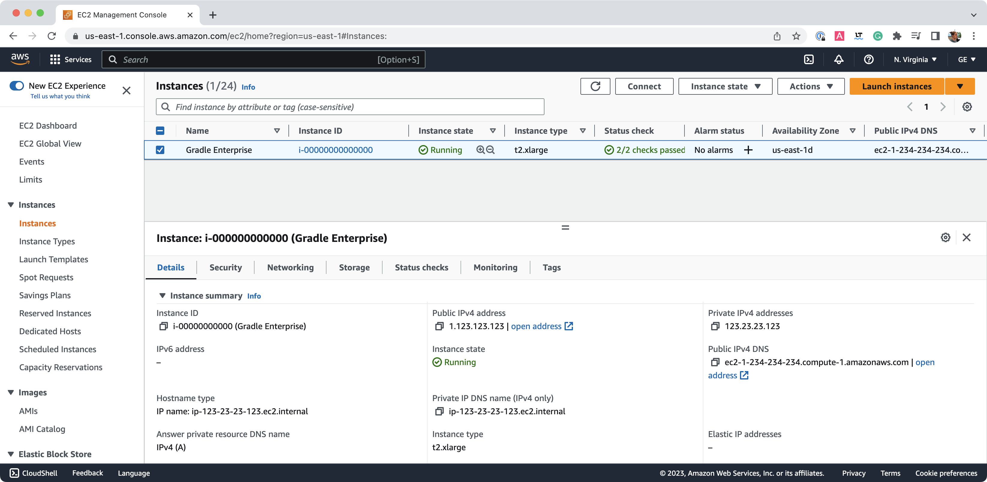 View the Hostname Settings in the AWS Management Console